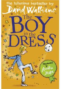 Copertă produs The Boy in the Dress