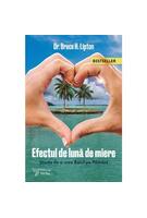 Copertă produs Efectul de Lună de Miere. Ediția a II-a