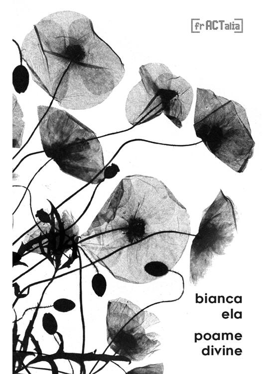 Copertă produs Poame Divine - gallery big 1