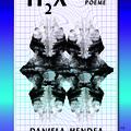 Copertă produs H₂X. Poeme - gallery small 