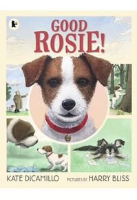 Copertă produs Good Rosie!