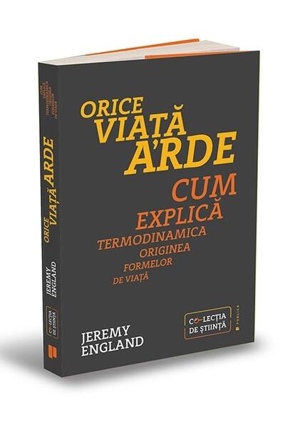 Orice viață arde. Cum explică termodinamica originea formelor de viață