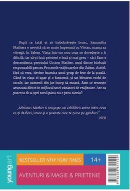 Copertă produs Cum să sp&acirc;nzuri o vrăjitoare