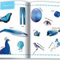 Copertă produs Culori. &Icirc;nvăț 100 de cuvinte (Vol. 2) - gallery small 