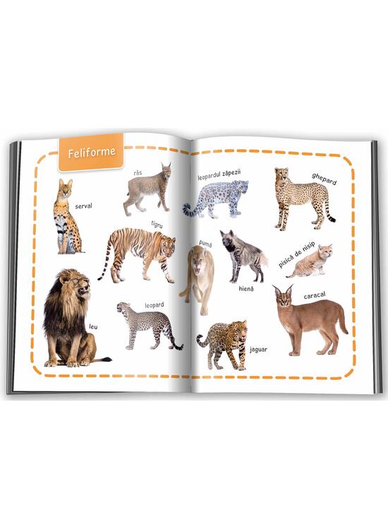 Copertă produs Animale. &Icirc;nvăț 100 de cuvinte (Vol. 1) - gallery big 2