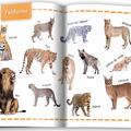 Copertă produs Animale. &Icirc;nvăț 100 de cuvinte (Vol. 1) - gallery small 