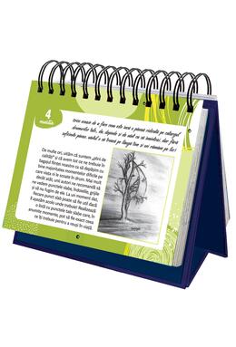Copertă produs Calendarul fericirii: 365 de idei pentru o viață bună