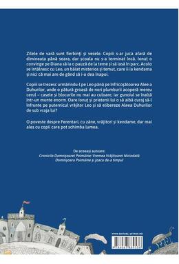 Copertă produs Povestea kendamei pierdute