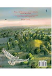 Copertă produs Harry Potter și camera secretelor (Vol. 2)