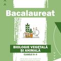 Copertă produs Bacalaureat. Biologie vegetală şi animală. Clasele IX-X - Ediția a II-a - gallery small 