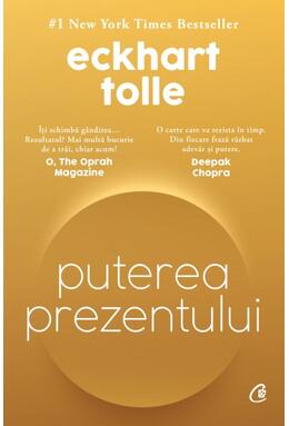 Copertă produs Puterea prezentului