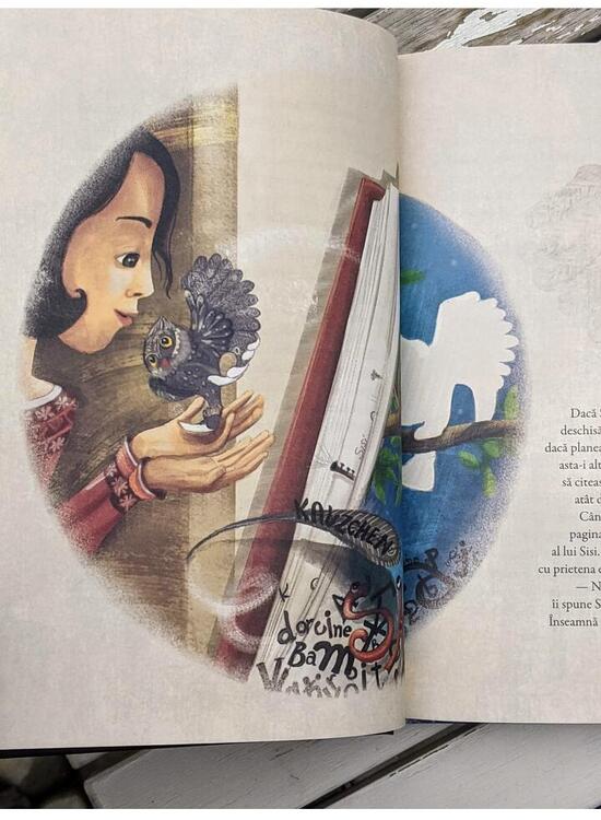 Copertă produs Ferbonia - HC - gallery big 6