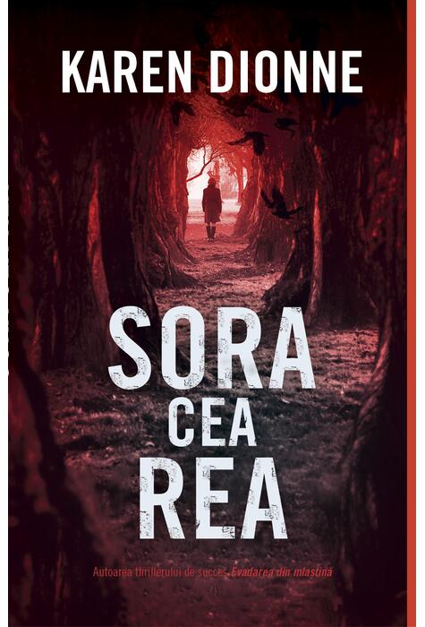 Copertă produs Sora cea rea