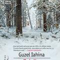 Copertă produs Pachet Autor Guzel Iahina - gallery small 