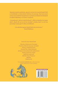 Copertă produs Rime revoltătoare | format mare