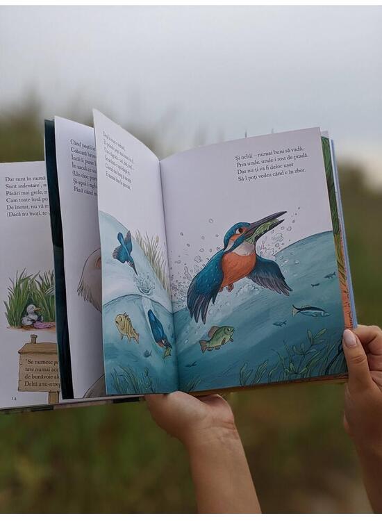 Copertă produs Descoperim cu Apolodor, &icirc;n Deltă, păsările-n zbor (Vol. 1) - gallery big 4