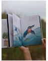 Copertă produs Descoperim cu Apolodor, &icirc;n Deltă, păsările-n zbor (Vol. 1) - thumb 4