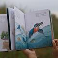 Copertă produs Descoperim cu Apolodor, &icirc;n Deltă, păsările-n zbor (Vol. 1) - gallery small 