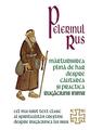 Copertă produs Pelerinul rus - thumb 1