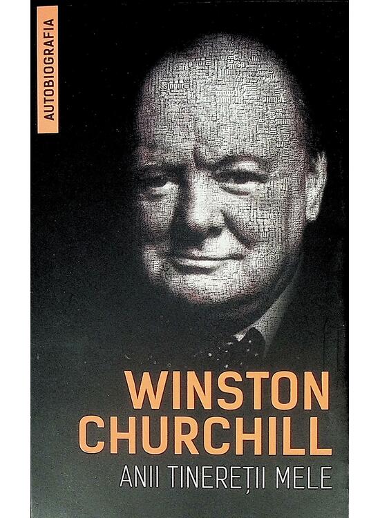 Copertă produs Anii tinereții mele - gallery big 1