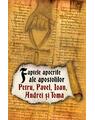 Copertă produs Faptele apocrife ale apostolilor Petru, Pavel, Ioan, Andrei și Toma - thumb 1