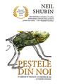 Copertă produs Peștele din noi - thumb 1