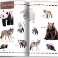 Copertă produs Animale. &Icirc;nvăț 100 de cuvinte (Vol. 1) - gallery small 
