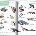 Copertă produs Animale. &Icirc;nvăț 100 de cuvinte (Vol. 1) - gallery small 