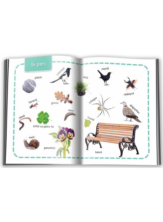 Copertă produs Natură. &Icirc;nvăț 100 de cuvinte (Vol. 4) - gallery big 3