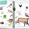 Copertă produs Natură. &Icirc;nvăț 100 de cuvinte (Vol. 4) - gallery small 