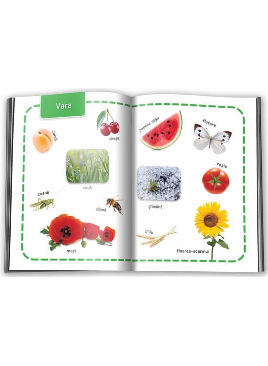 Copertă produs Natură. &Icirc;nvăț 100 de cuvinte (Vol. 4) - gallery big 4