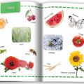 Copertă produs Natură. &Icirc;nvăț 100 de cuvinte (Vol. 4) - gallery small 