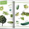 Copertă produs Culori. &Icirc;nvăț 100 de cuvinte (Vol. 2) - gallery small 