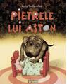 Copertă produs Pietrele lui Aston - thumb 1