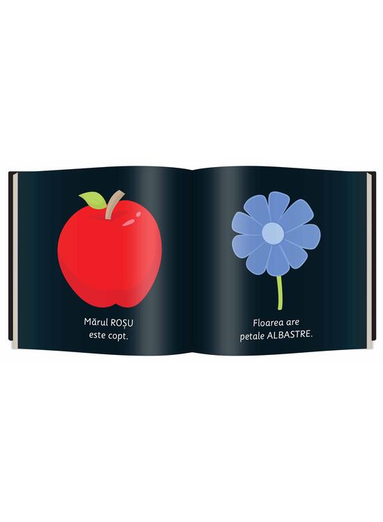 Copertă produs Culori (Vol. 5) - gallery big 3