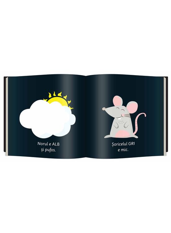 Copertă produs Culori (Vol. 5) - gallery big 5