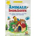 Copertă produs Animale &icirc;ndrăgite. Fișe, poezii, povestiri, ghicitori pentru copii creatori - gallery small 