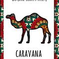 Copertă produs Caravana vieții - gallery small 