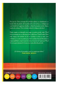 Copertă produs Micul Urs - HC