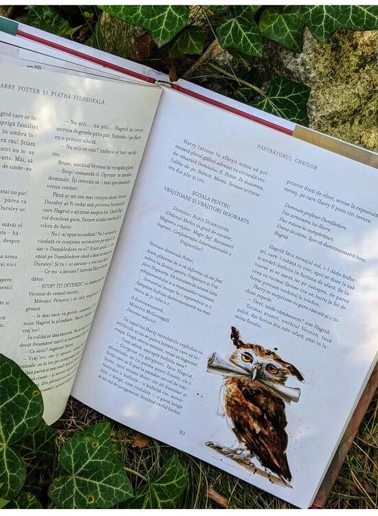 Copertă produs Harry Potter și piatra filosofală (Vol.1) - gallery big 4