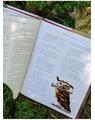 Copertă produs Harry Potter și piatra filosofală (Vol.1) - thumb 4