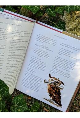 Copertă produs Harry Potter și piatra filosofală (Vol.1)