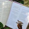 Copertă produs Harry Potter și piatra filosofală (Vol.1) - gallery small 