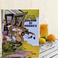 Copertă produs Colecția esențială Calvin și Hobbes - gallery small 