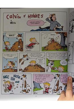 Copertă produs Colecția esențială Calvin și Hobbes