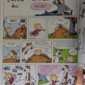 Copertă produs Colecția esențială Calvin și Hobbes - gallery small 