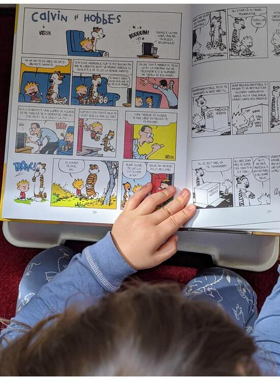 Copertă produs Colecția esențială Calvin și Hobbes - gallery big 5
