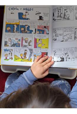 Copertă produs Colecția esențială Calvin și Hobbes