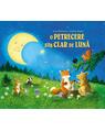 Copertă produs O petrecere sub clar de lună - thumb 1