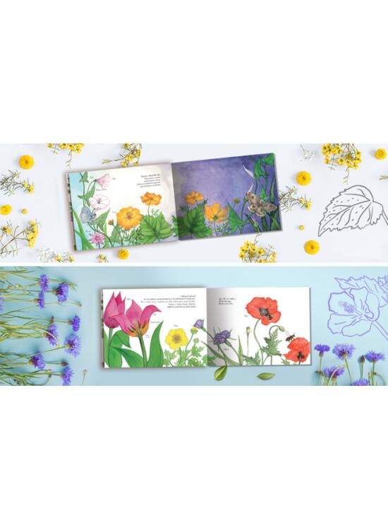 Copertă produs Ce plantă frumoasă! - gallery big 2